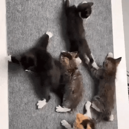 ScratchyPatch™