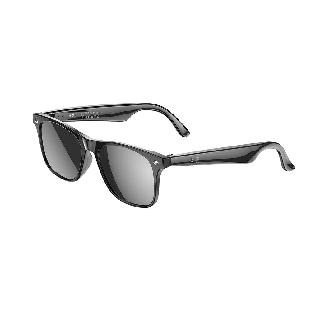 Lunettes Connectées SmartView IA