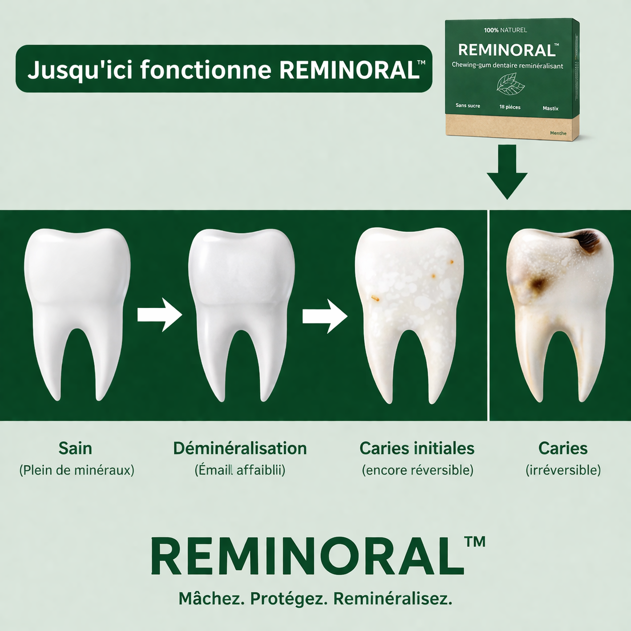 REMINORAL™ – Le geste simple qui renforce votre sourire